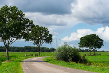 Fototapeta na wymiar meadow, high voltage tower and road in Alblasserwaard, The Netherlands