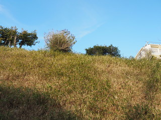 宮前平の街の風景／Cityscape of Miyamaedaira town, Kawasaki City, Kanagawa Prefecture, which is a residential area in Japan