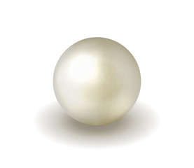 Natural, shiny, sea  pearl on a white background. Vector illustration