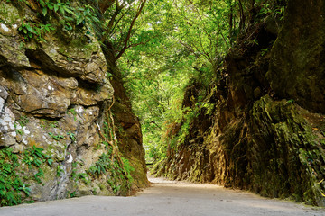 Beautiful green rock wall walkway in Mysterious Valley Trail called Shakadang Trail