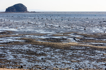 Seas and Waves in the West Sea