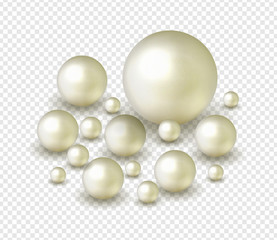 Nature ,sea pearl background with small and big white pearls isolated on transparent background