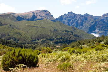 Naklejka na ściany i meble Gebirgslandschaft am Pico do Arieiro auf Madeira
