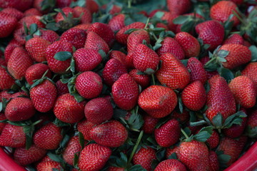 red fresh strawberry healthy fruit .