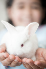 Fototapeta premium Little girl with rabbit