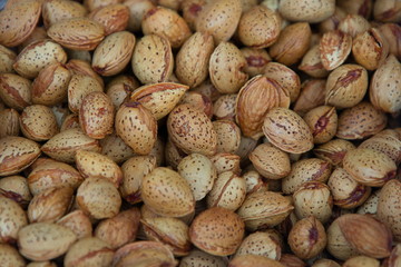 seed or beans background