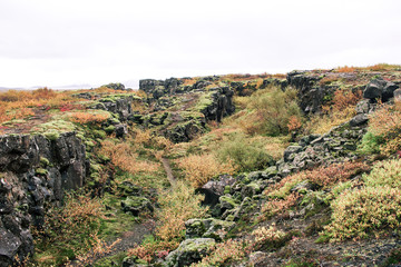 Fototapeta na wymiar Iceland Rocky Plains