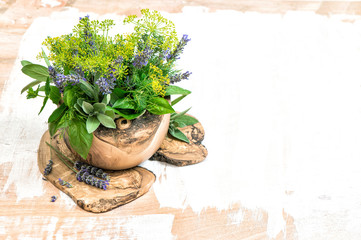 Fresh herbs dill thyme sage lavender mint basil Healthy food