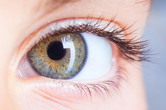 eye