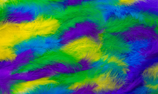 Close up photo of colorful pale of fluffy feathers. Exotic background. Vibrant dyed plumage.