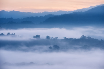 Aerial view of tropical rain forest in the mist, Landscape morning fog on Baan Hatsompaen Viewpoint Ranong Tropical rain forest at southern of Thailand
