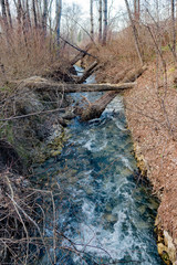 Obraz premium Parco Lavino, Scafa (CH)