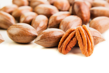 Not cleaned pecan nuts in the shell isolated on white.