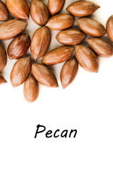 Not cleaned pecan nuts in the shell isolated on white.