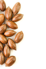 Not cleaned pecan nuts in the shell isolated on white.