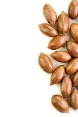 Not cleaned pecan nuts in the shell isolated on white.