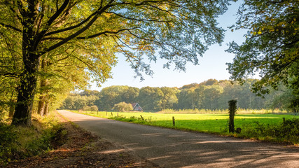 This tarmac road leads through green fields, dense forests and along farms located at the Tankenberg (near Oldenzaal) on a sunny october day but sun is setting.  This is a typical Dutch landscape.