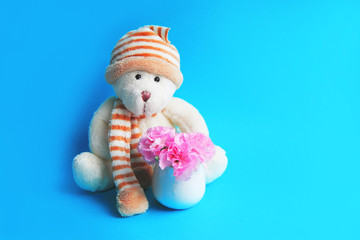 teddy bear in a hat and balls next to a bouquet of pink carnations in a vase on a blue background concept of holiday and activities