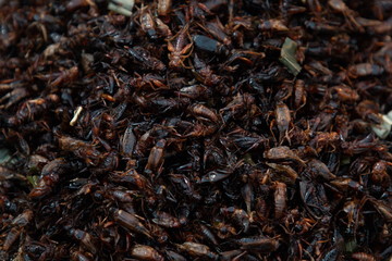 heap of insect fried snack , thai street food .