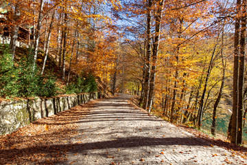 Fototapeta na wymiar Sevenlakes National Park in Autumn Bolu Turkey. Yedigoller milli parkı