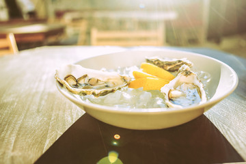 Extraordinary meal consisting of fresh oysters in ice and pieces of lemon
