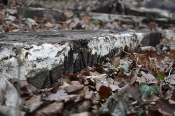 old decaying planks