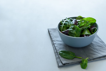 Bowl with mix fresh leaves of arugula, spinach and beet leaves on gray wooden background. Vegetarian food concept. Selective focus.