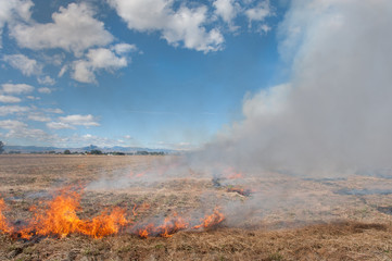 View of controlled burning field against cloudy sky
