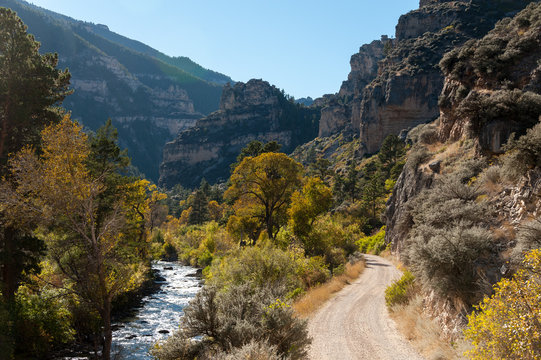 View of road and river passing through trees against mountain