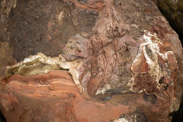 rock texture background