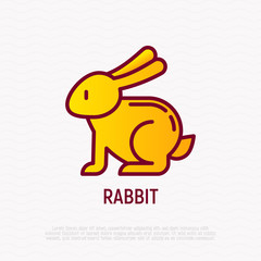 Cartoon rabbit thin line icon. Modern vector illustration for Chinese horoscope.