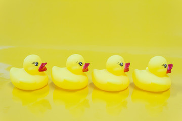 A row of yellow ducks toy on yellow background .