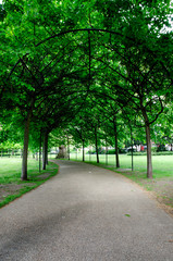 Fototapeta premium London city / England - May 2014: Alley in the park
