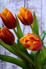 Bouquet of red and yellow tulips against the white wooden background