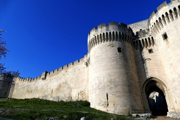 Fototapeta na wymiar Fort Saint-André à Villeneuve-lez-Avignon, Gard, France