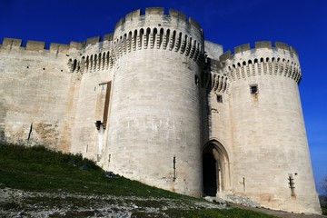 Fototapeta na wymiar Fort Saint-André à Villeneuve-lez-Avignon, Gard, France