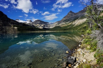 Fototapeta na wymiar Mountains reflection in Bow Lake in National park Banff in Canada