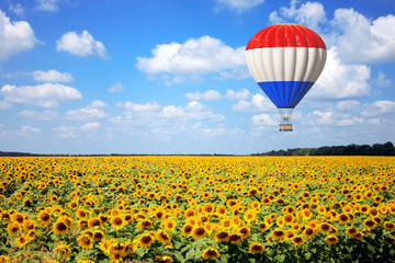 Hot Air Balloon with Flag of France Fly Over Sunflowers Field. 3d Rendering