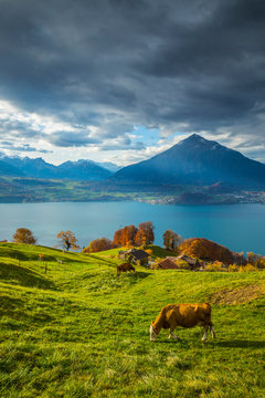 Scenic view of Niesen mountain and Lake Thun against cloudy sky
