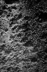 Black and white overhead view of salt crusted concrete