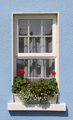 Blumen an Fenster