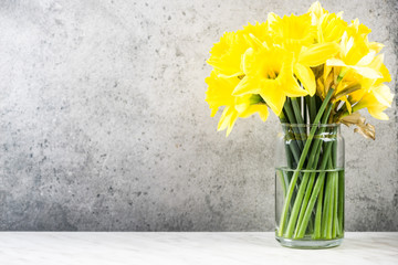 Spring garden fresh Daffodils in vase on concrete bacground