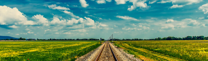 Fototapeta premium railroad in open summer landscape 