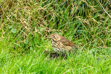 Einfach mal ausruhen
