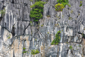 Rock islands near floating village in Halong Bay, Vietnam, Southeast Asia.