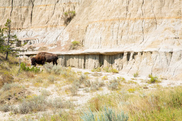 Scenic Theodore Roosevelt National Park in North Dakota, USA