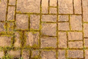Brown concrete paver brick with moss joints texture background.