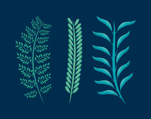 set of branches with leafs natural