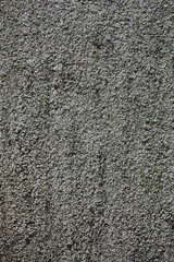 The old concrete wall with moss. Vertical background