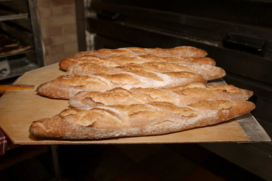 Freshly Baked Golden Brown Artisan Baguettes on a Wooden Peel